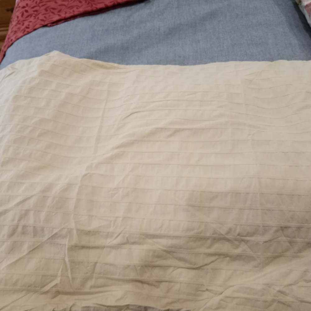 Queen duvet only